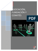 Asociacion Fundacion y Comite