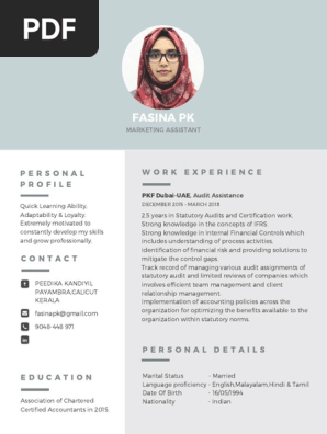 Modern Professional Resume