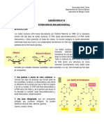 Práctico N°10 Extracción de ADN