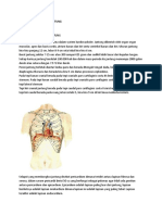 Anatomi Dan Fisiologi Sirkulasi