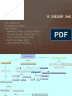 Bioseguridad - Mesa 4
