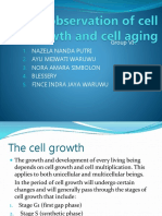 Group VI Cell Growth Stages