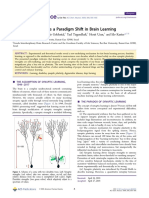 Dendritic Learning As A Paradigm Shift in Brain Learning