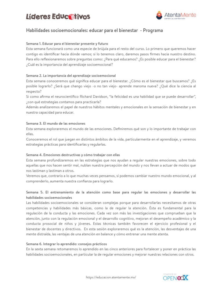 Habilidades Socioemocionales para el Bienestar | PDF | Bienestar | Las ...