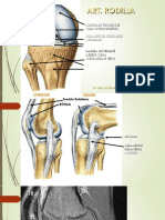 Articulacion de La Rodilla