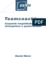 Daniel Meier - Teamcoaching.pdf