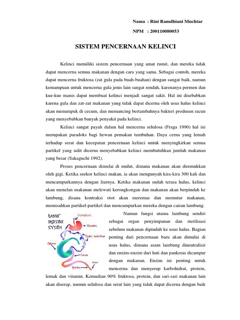 50704892SISTEMPENCERNAANKELINCI.docx