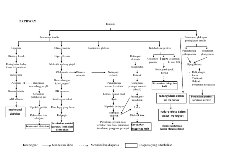 Pathway DM | PDF