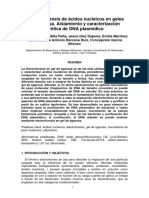 17 ELECTROFORESIS ACS NUCLEICOS GELES AGAROSA.pdf