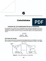 Chp06.pdf