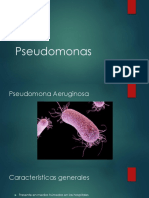 Pseudomonas