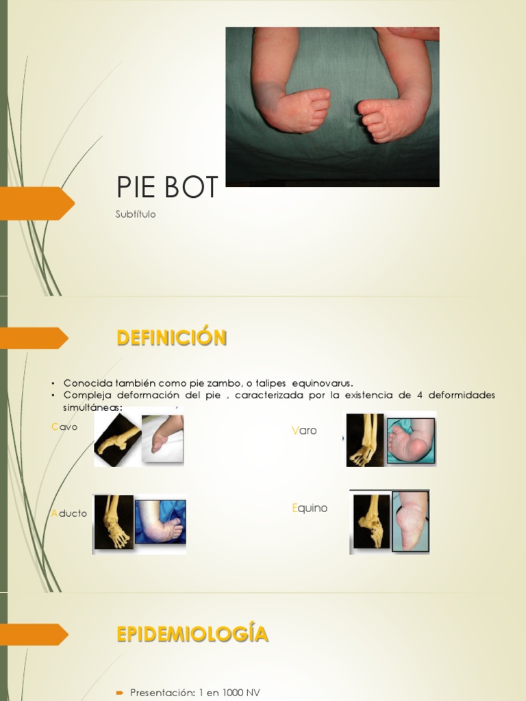 Pie Bot PDF Pie Sistema musculoesquelético