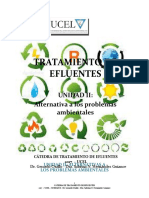 T de Ef - UNIDAD II - Contaminación e Impacto Ambiental - Soluciones