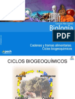 Ciclos Biogeoquimicos y Cadenas