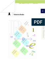 Números Reales PDF