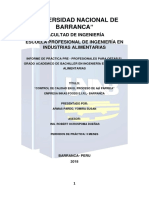 informe de practicas pre profesionales.docx