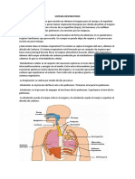 Sistema Respiratorio