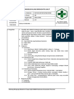 SOP 15 Prosedur Klinis Bronkitis Akut