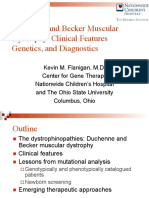 Duchenne and Becker Muscular Dystrophy Genetics