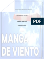 Manga de Viento