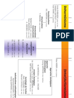 Sociologie determinisme / actionnisme 