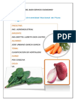 Clasificación de Hortalizas