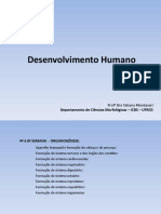 Embriologia - Slide Completo PDF