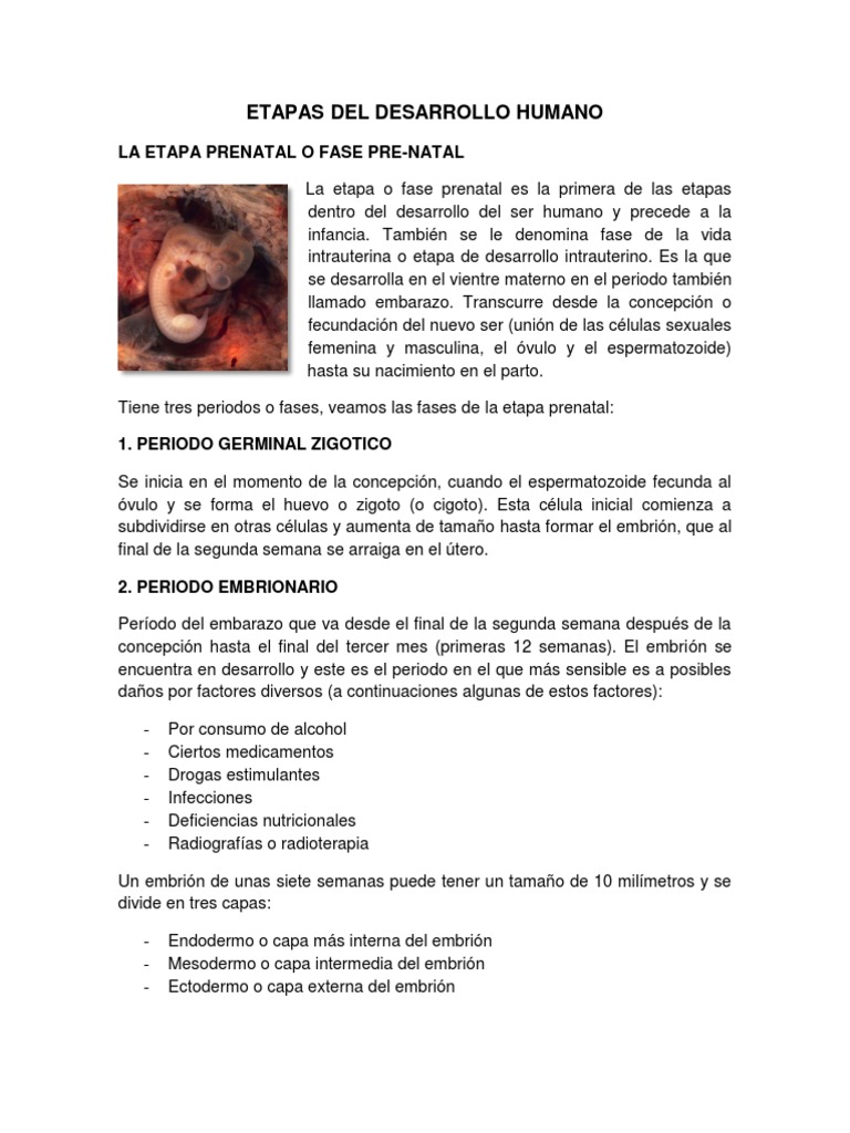 Etapas Del Desarrollo Humano | PDF | Adultos | Vejez