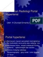 Portal Hypertensi