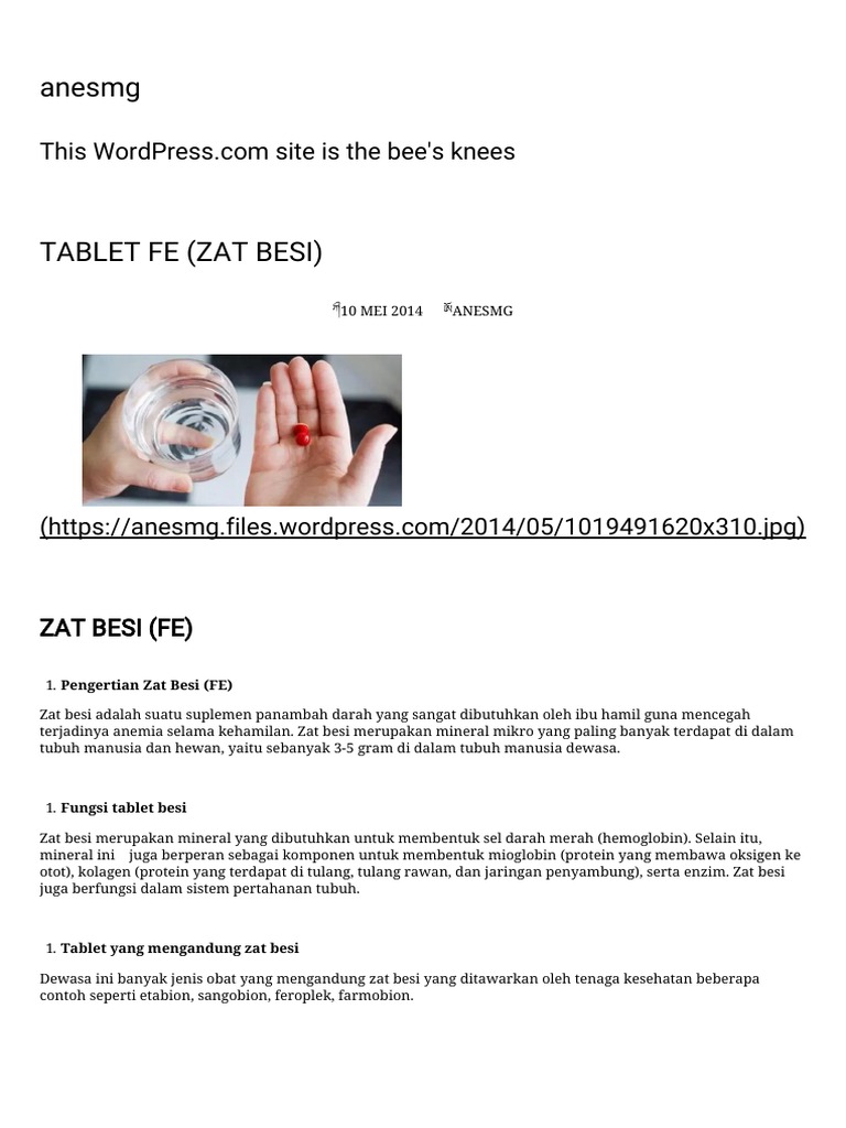 Tablet Fe Zat Besi Anesmgpdf
