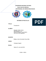 MogollónNiño-Núñez-Ruíz.-Informe-4-Fisiología-Vegetal-2.docx