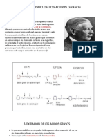 Diapos Bioquimica