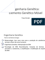 Aula 2 - Engenharia Genética - Elementos Genéticos Móveis