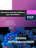 Biosensores.pptx