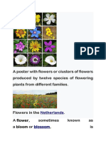 A Poster With Flowers or Clusters of Flowers Produced by Twelve Species of Flowering Plants From Different Families