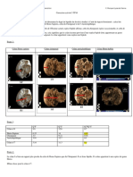 correction-activitc3a9-3-tp10 svt.pdf