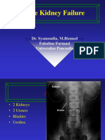Acute Kidney Failure: Dr. Syamsudin, M.Biomed Fakultas Farmasi Universitas Pancasila