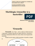 Morfologia Virusurilor Si a Bacteriilor - Andreica Oana-Bianca Master Protectia Plantelor Anul 1