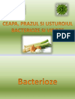 Tirsu-Pintea Matei - Ceapa, Prazul Si Usturoiul - Viroze Si Bacterioze