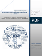 Expérience Et Parcours Clients