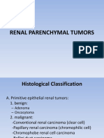 Renal Parenchymal Tumor Classification