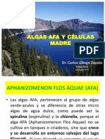 Alga Aphanizomenon Flos Aquae: Propiedades Terapeùticas