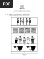 Download P2 Kedah Essay by Rozaini Othman SN38241332 doc pdf