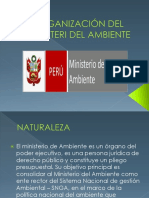 Diapositivas Organizacion Del Ministerio