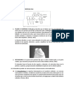 Componentes de La Prótesis Fija