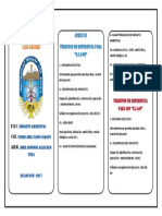 Triptico de Impacto