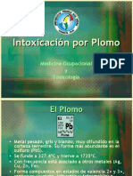 Intoxicacin Por Plomo4195