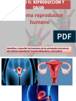 Reproducción y Salud