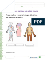 2.- Los sistemas del cuerpo humano.docx