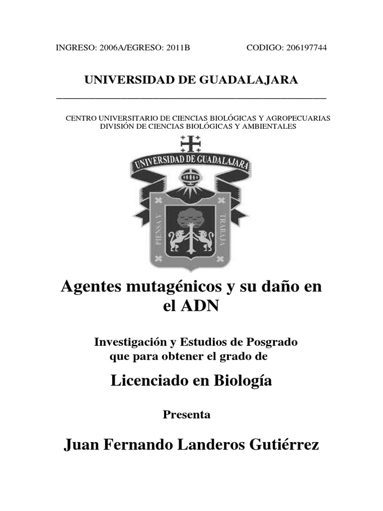 Toxicologia Endógena (Paperback) 